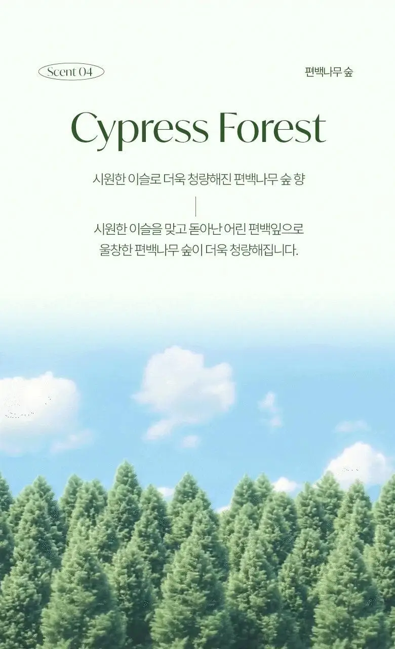 [핸드워시 증정기획] 라운드어라운드 센티드 핸드크림 50ml 상세페이지 20
